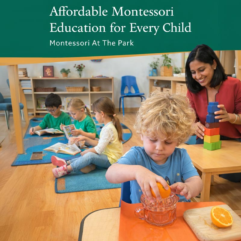 How Affordable Montessori Schools Support Strong Early Development