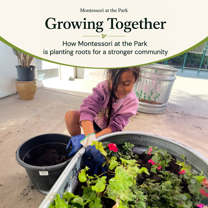 A Strong Start: Early Childhood Development Support Methods