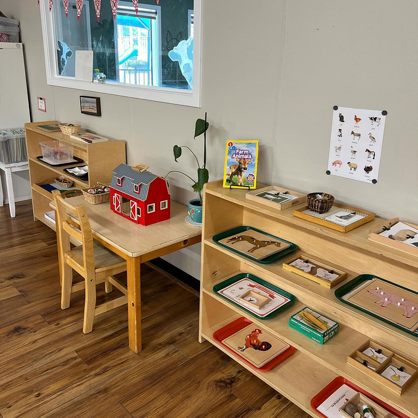 How Montessori Curriculum Activities Build Confidence and Independence