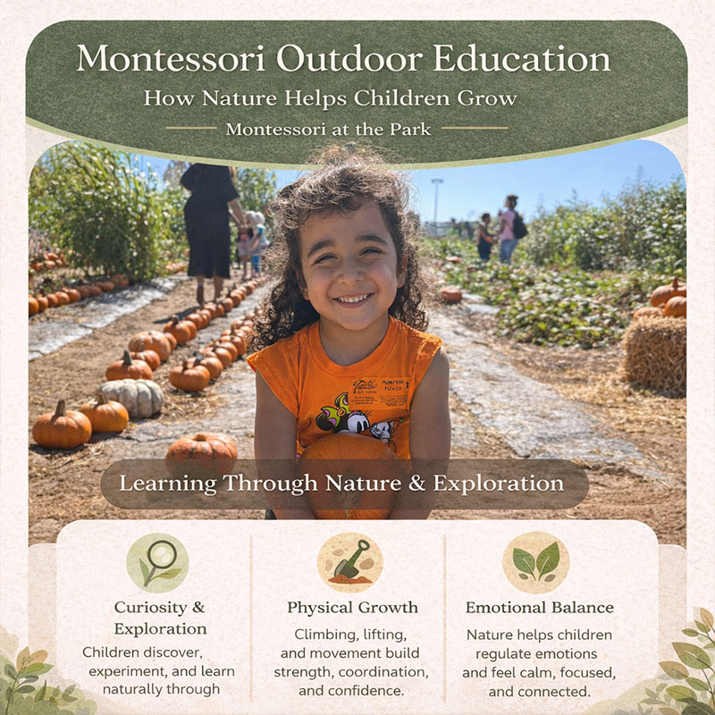 Montessori Outdoor Education: How Nature Helps Children Grow
